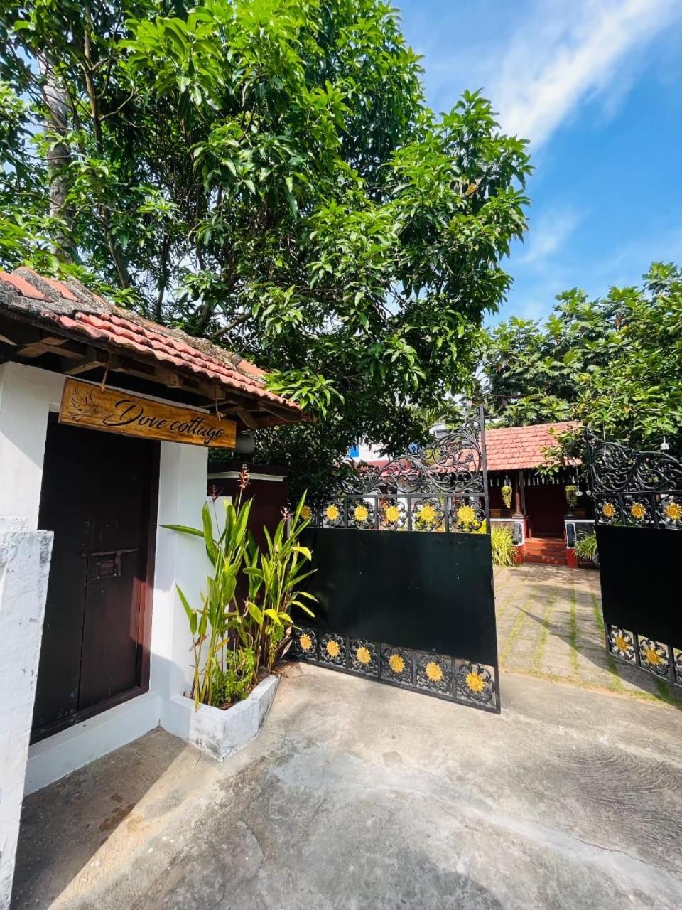 Dove Cottage Cherai Beach Exterior photo